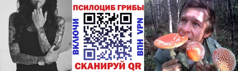 площадка клад  Циолковский  Галлюциногенные грибы прущие грибы  купить наркоту  MEGA tor 