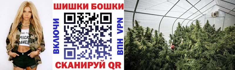 площадка формула Циолковский Шишки марихуана индика